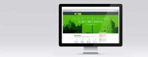 The Database Dept Website - CEO View