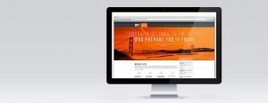 The Database Dept Website - CMO View