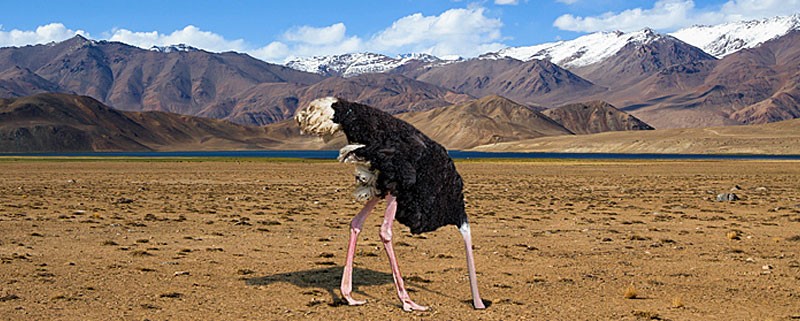 A design audit: not as frightening as it sounds